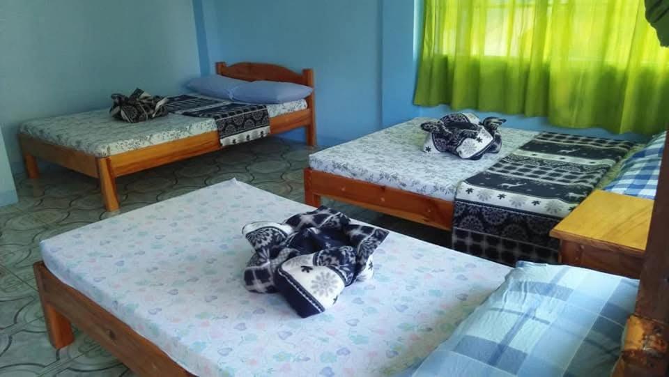 Hidden Hill Homestay Sagada